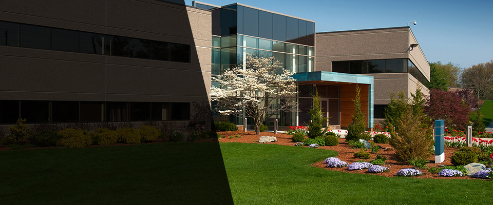 Prospect Park Landscapers