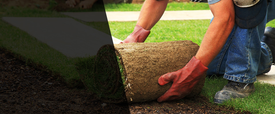 Prospect Park Landscapers